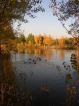 Golf Montpellier · Horizon Resort - Massane · Golf