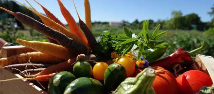 Horizon Resort, Hôtel éco-responsable Montpellier · Horizon Resort - Massane