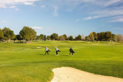 Golf, Horizon Resort - Massane· Hôtel, Golf & Spa Montpellier (34)