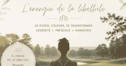 yoga stage montpellier