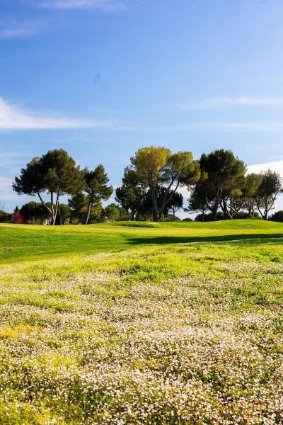 Compétition au Golf de Massane